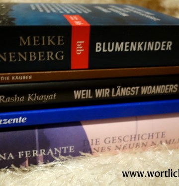 Monatsrückblick Dezember 2016